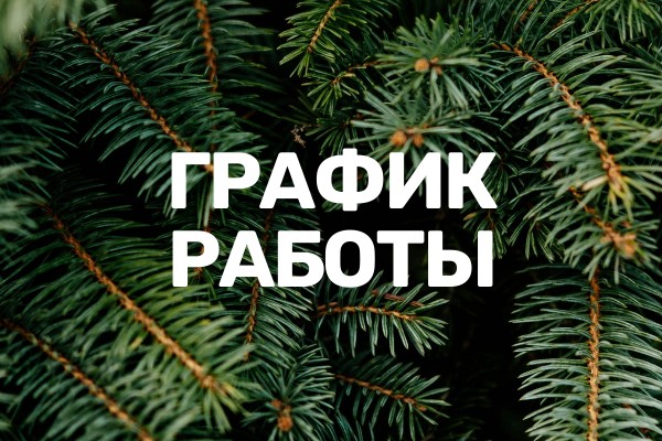 График работы в новогодние праздники