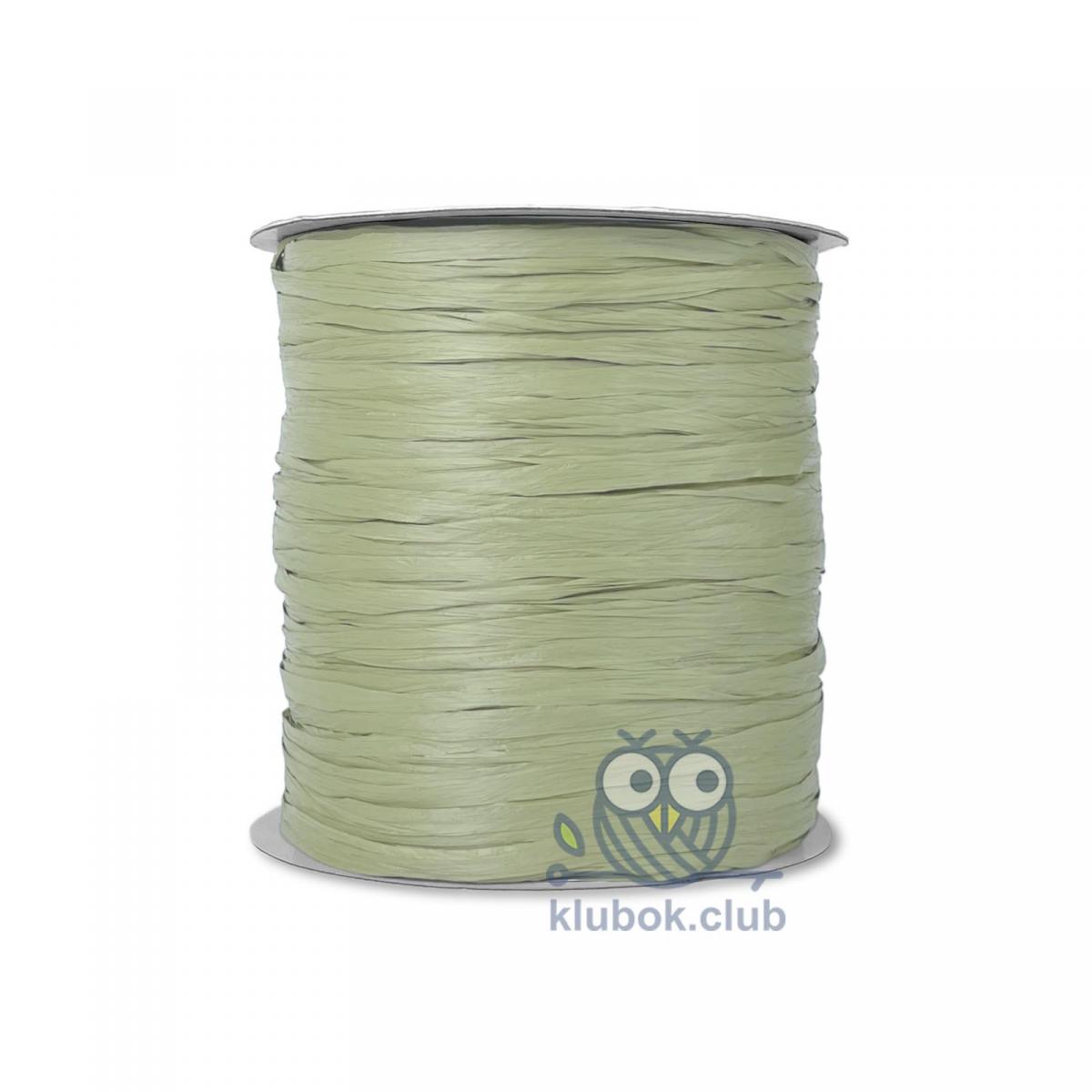 Пряжа рафия Wellmay Raffia Ispie цвет D21, Pistachio, Фисташка купить в klubok.club