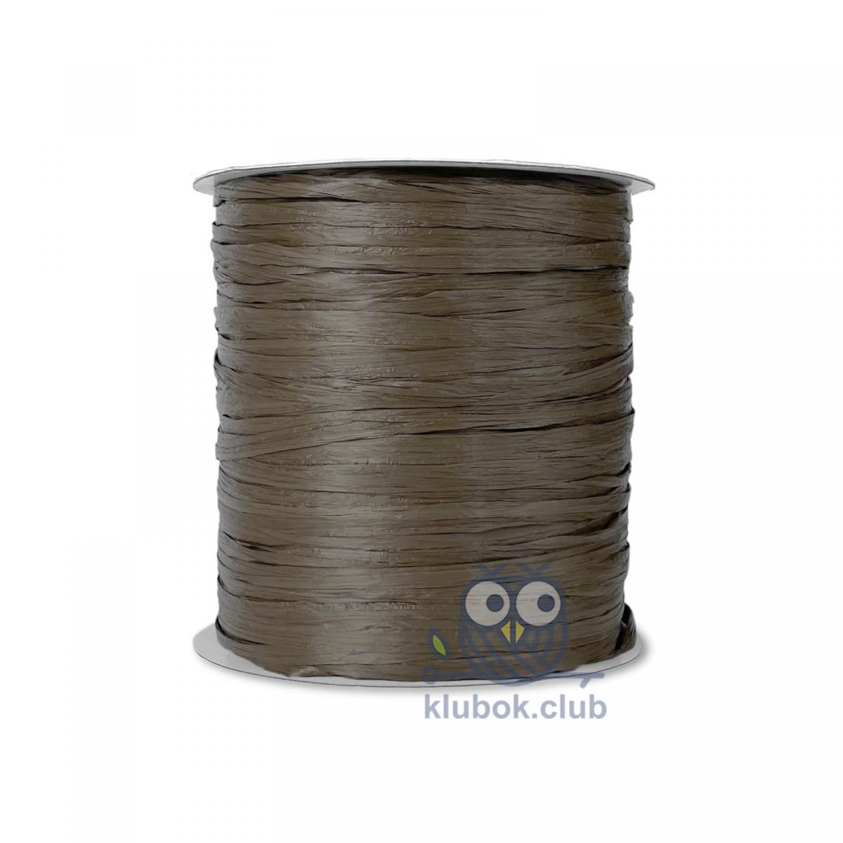 Пряжа рафия Wellmay Raffia Ispie цвет 118A, Earth, Земля купить в klubok.club