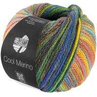 Пряжа Cool Merino Color 