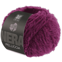 Пряжа Pelliccia 