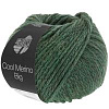 Пряжа Lana Grossa Cool Merino Big цвет 205