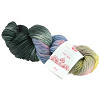 Пряжа Lana Grossa Meilenweit 100 Merino Shadow hand-dyed цвет 614