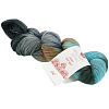 Пряжа Lana Grossa Meilenweit 100 Merino Shadow hand-dyed цвет 621