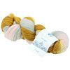 Пряжа Lana Grossa Cool Wool Lace Hand-Dyed цвет 813