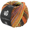 Пряжа Lana Grossa Cool Merino Color цвет 313