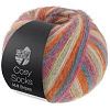 Пряжа Lana Grossa Meilenweit 100 Cosy Socks Multi Stripes цвет 154
