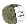 Пряжа Lang Yarns Oceania цвет 0098