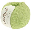 Пряжа Lana Grossa Landlust Sommerseide цвет 061