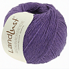 Пряжа Lana Grossa Landlust Sommerseide цвет 064